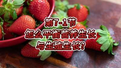 第7-1节-怎么平衡营养生长与生殖生长？