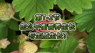 第7-2节-怎么平衡营养生长与生殖生长？