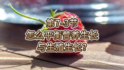 第7-3节-怎么平衡营养生长与生殖生长？
