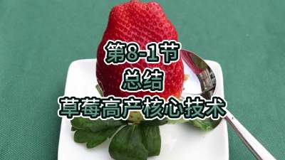 第8-1节-总结-草莓高产核心技术