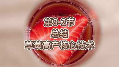 第8-2节-总结-草莓高产核心技术