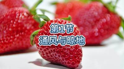 第1节-通风与晾地