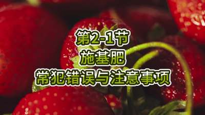 第2-1节-施基肥常犯错误与注意事项