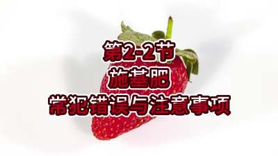 第2-2节-施基肥常犯错误与注意事项
