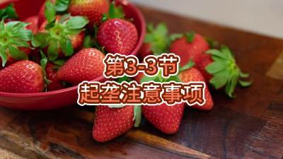 第3-3节-起垄注意事项