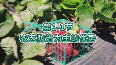 第1-1节-农艺防治为主的优势