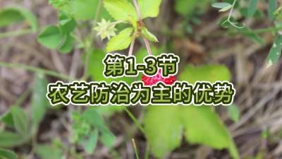 第1-3节-农艺防治为主的优势