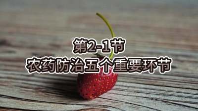 第2-1节-农药防治五个重要环节