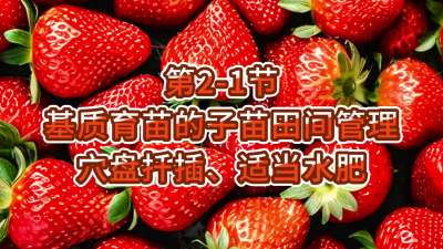 第2-1节-基质育苗的子苗田间管理-穴盘扦插、适当水肥
