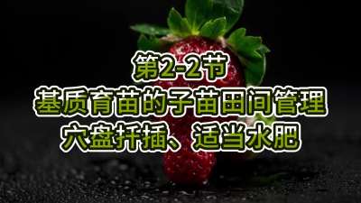 第2-2节-基质育苗的子苗田间管理-穴盘扦插、适当水肥