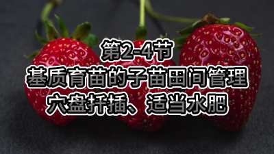 第2-4节-基质育苗的子苗田间管理-穴盘扦插、适当水肥