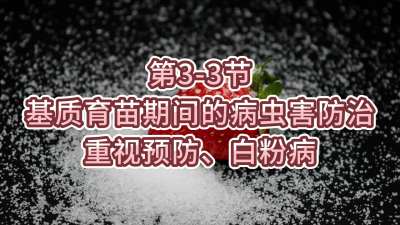 第3-3节-基质育苗期间的病虫害防治-重视预防、白粉病
