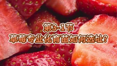 第3-1节-草莓专业化育苗如何选址？