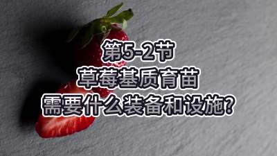 第5-2节-草莓基质育苗需要什么装备和设施？