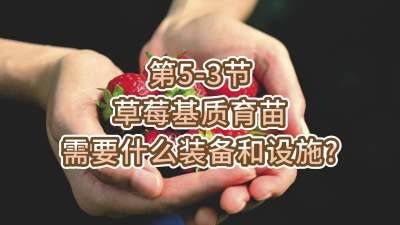 第5-3节-草莓基质育苗需要什么装备和设施？