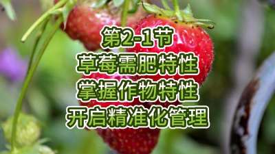 第2-1节-草莓需肥特性-掌握作物特性，开启精准化管理