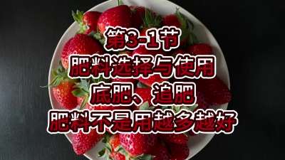 第3-1节-肥料选择与使用-底肥、追肥，肥料不是用越多越好