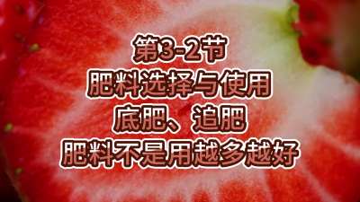 第3-2节-肥料选择与使用-底肥、追肥，肥料不是用越多越好