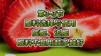 第3-3节-肥料选择与使用-底肥、追肥，肥料不是用越多越好