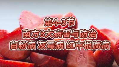第4-3节-南方3大病害与防治-白粉病、灰霉病，红中根腐病
