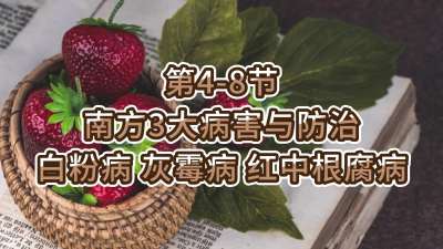 第4-8节-南方3大病害与防治-白粉病、灰霉病，红中根腐病