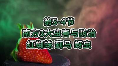 第5-4节-南方3大虫害与防治-红蜘蛛、蓟马、蚜虫