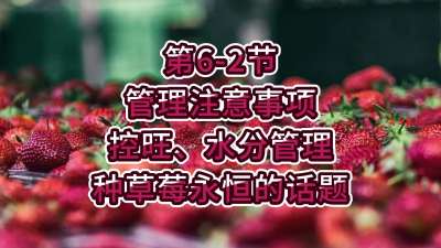 第6-2节-管理注意事项-控旺、水分管理种草莓永恒的话题