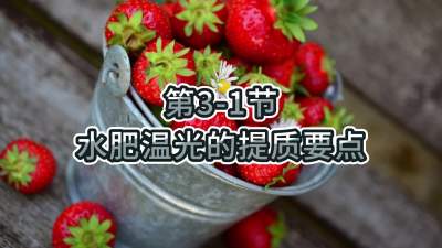 第3-1节-水肥温光的提质要点
