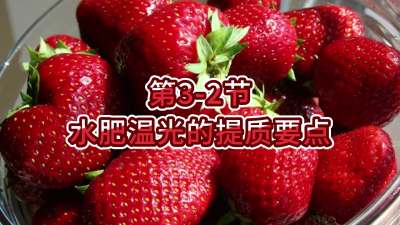 第3-2节-水肥温光的提质要点
