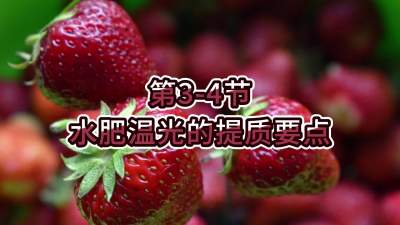 第3-4节-水肥温光的提质要点