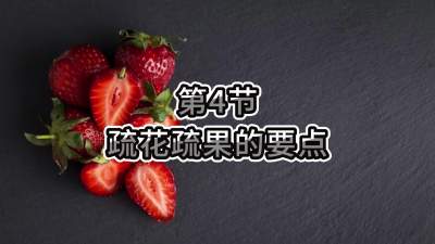 第4节-疏花疏果的要点