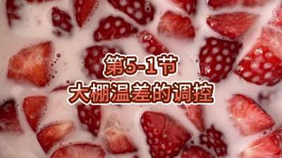 第5-1节-大棚温差的调控