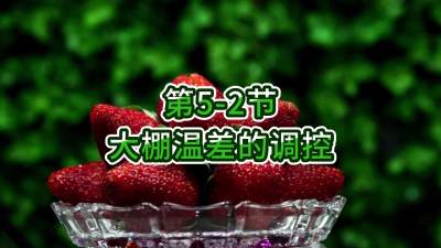 第5-2节-大棚温差的调控