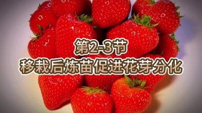第2-3节-移栽后炼苗促进花芽分化