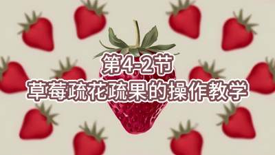 第4-2节-草莓疏花疏果的操作教学