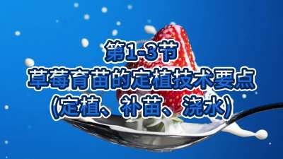 第1-3节-草莓育苗的定植技术要点（定植、补苗、浇水）