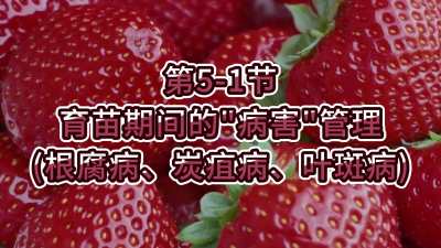 第5-1节-育苗期间的&ldquo;病害&rdquo;管理（根腐病、炭疽病、叶斑病）