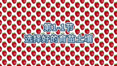 第1-1节-选择好的育苗土壤