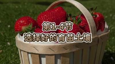 第1-4节-选择好的育苗土壤