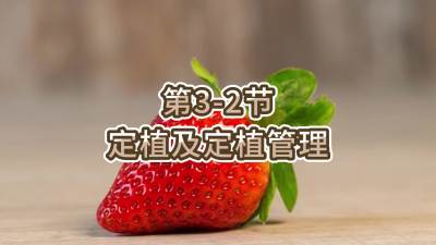 第3-2节-定植及定植管理
