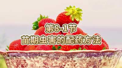 第8-1节-苗期虫害的配药方法