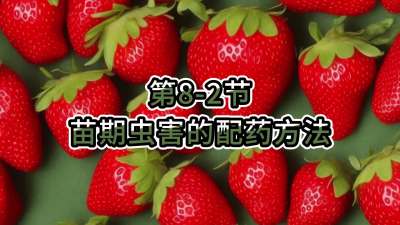 第8-2节-苗期虫害的配药方法
