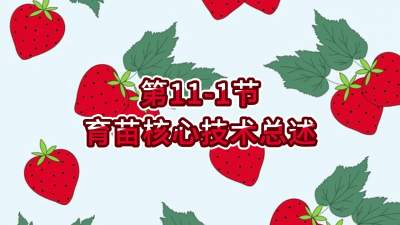 第11-1节-育苗核心技术总述