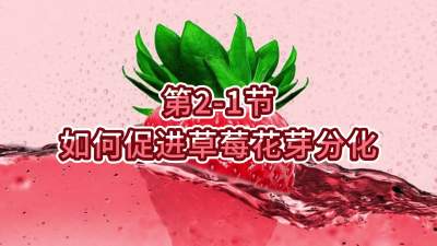 第2-1节-如何促进草莓花芽分化