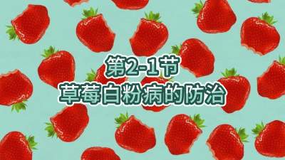 第2-1节-草莓白粉病的防治