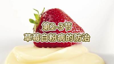 第2-3节-草莓白粉病的防治