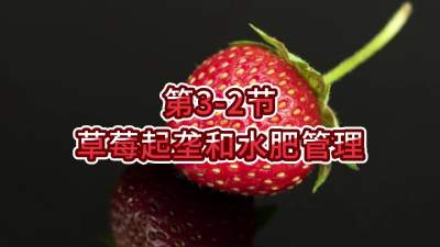 第3-2节-草莓起垄和水肥管理