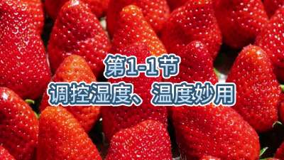 第1-1节-调控湿度、温度妙用