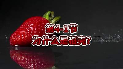 第4-1节-为什么是稻壳？