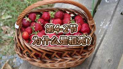 第4-2节-为什么是稻壳？